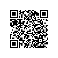 殘疾人生活自小幫手--無障礙安全扶手