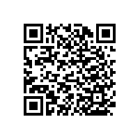 殘疾人衛(wèi)生間的扶手可安裝多種款式?【藍(lán)品盾】