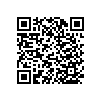 殘疾人衛(wèi)生間扶手安全的安裝方式【藍(lán)品盾】