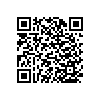 殘疾人衛(wèi)生間扶手廠家哪里有？【藍(lán)品盾】