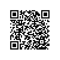 殘疾人衛(wèi)生間扶手對這一群人可是有很大用處的