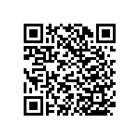 殘疾人衛(wèi)生間扶手結(jié)實耐用【藍品盾】