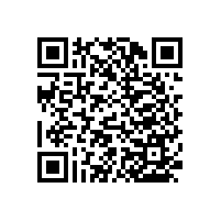 殘疾人衛(wèi)生間扶手用什么款式合適？