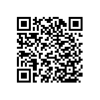 殘疾人衛(wèi)生間改造扶手易使用的貼心設(shè)計(jì)！【藍(lán)品盾】