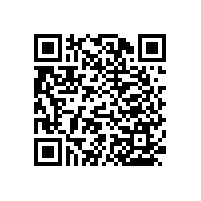 殘疾人衛(wèi)生間里的扶手還是要防滑抗菌的