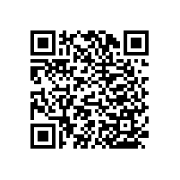 殘疾人衛(wèi)生間專用扶手【藍品盾】