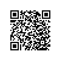 殘疾人衛(wèi)浴扶手實(shí)用的款式【藍(lán)品盾】