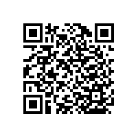 殘疾人無(wú)障礙扶手有哪些特點(diǎn)？【藍(lán)品盾】