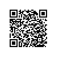 殘疾人小便扶手/結(jié)實牢靠【藍品盾】