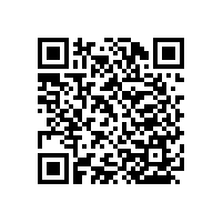 殘疾人洗手間扶手左右翻轉(zhuǎn)省空間【藍(lán)品盾】