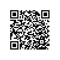 殘疾人坐便扶手-易于使用【藍(lán)品盾】