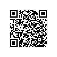 殘疾人坐便器扶手材質(zhì)舒適【藍品盾】