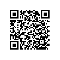 殘疾人專用扶手有多少功能？【藍品盾】