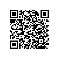 殘疾衛(wèi)生間扶手款式夠新穎嗎？【藍品盾】