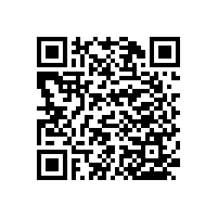 廁所不銹鋼扶手衛(wèi)生間必備【藍(lán)品盾】