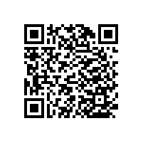 廁所老人防摔各種扶手-造型多樣【藍品盾】