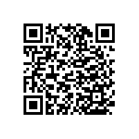 殘衛(wèi)扶手為老人安全保駕護(hù)航【藍(lán)品盾】