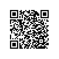 殘衛(wèi)扶手為摔倒老人“頭號安全衛(wèi)士” 【藍(lán)品盾】