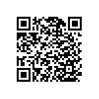 車站第三衛(wèi)生間里的扶手樣式【藍(lán)品盾】