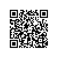 殘障人士如廁借力小工具-無障礙扶手