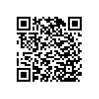 蹲廁殘疾人衛(wèi)生間扶手-十年廠家藍品盾