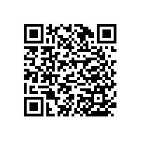 【蹲廁旁邊使用的】衛(wèi)生間墻上扶手拉桿-藍(lán)品盾推薦