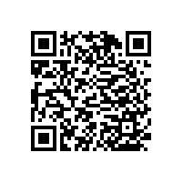 多功能扶手衛(wèi)生間安防設(shè)施用品安全又實用-藍(lán)品盾廠銷