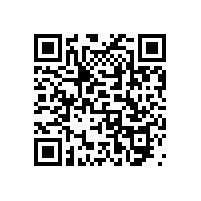 多功能扶手衛(wèi)生間避免災(zāi)難現(xiàn)場(chǎng)【藍(lán)品盾】