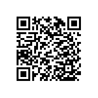 大批量的醫(yī)院衛(wèi)生間墻上扶手拉桿實惠款式-藍品盾