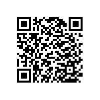 【大慶】廁所扶手，款式多、選擇多