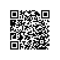 帶紙巾盒的多功能衛(wèi)浴扶手