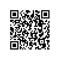 兒童衛(wèi)生間扶手-藍(lán)品盾生產(chǎn)廠家訂做