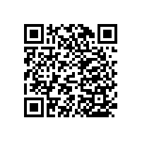 兒童衛(wèi)生間也要裝扶手嗎？-藍品盾