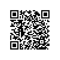 【非常規(guī)款式的】無障礙衛(wèi)生間小便池扶手-藍(lán)品盾安裝實(shí)例圖