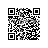 【分析】小便池扶手款式的選擇-藍(lán)品盾