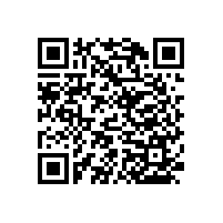 公廁無障礙扶手/牢靠不掉落【藍(lán)品盾】