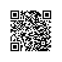 公共場(chǎng)所衛(wèi)生間無障礙扶手，一般都選擇哪些款式？-藍(lán)品盾