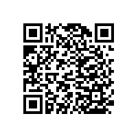 公共衛(wèi)生間殘疾扶手~304不銹鋼材質(zhì)優(yōu)點(diǎn)大家都知道-藍(lán)品盾