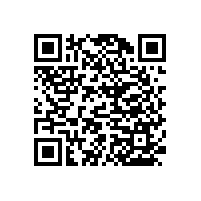 公共衛(wèi)生間殘疾扶手&家庭衛(wèi)生間扶手款式-藍品盾