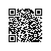 公共衛(wèi)生間殘疾人廁所扶手夠溫馨【藍(lán)品盾】