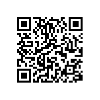 公共衛(wèi)生間扶手| 品質(zhì)好易清潔的款式在這里【藍(lán)品盾】