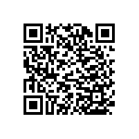 高齡化衛(wèi)生間規(guī)劃-浴室扶手【藍品盾】