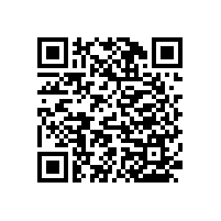 【廣州】尼龍衛(wèi)浴扶手，好品質(zhì)不怕驗(yàn)貨