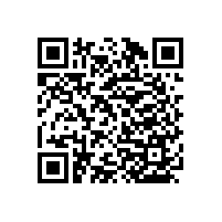 廣州養(yǎng)老院/木紋色尼龍扶手【藍品盾】