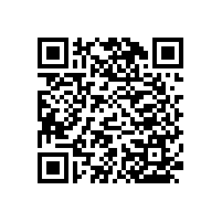 【河北】衡水市一字尼龍扶手，開始下單藍品盾！！