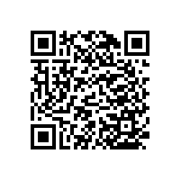 河北景縣做醫(yī)用扶手廠家 藍品盾給您便捷的選購體驗