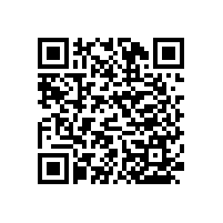 酒店專用~無(wú)障礙衛(wèi)生間扶手防滑【藍(lán)品盾】