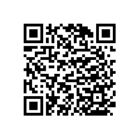 今年流行的無障礙殘疾人衛(wèi)生間扶手-是什么款式【藍品盾】