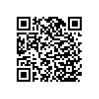 既能做扶手又能做裝飾的衛(wèi)生間無障礙扶手