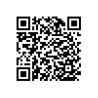 【解析】尼龍衛(wèi)浴扶手的廠家選擇